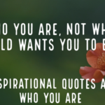 80 Inspirational Quotes About Who You Are (Just Be Who You Are)