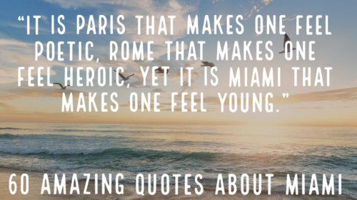 60 Amazing Quotes About Miami Beach (Fun Miami Lifestyle)