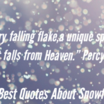 50 Best Quotes About SnowFall For Snow Lovers (Snow Days!!!)