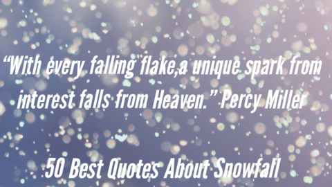 50 Best Quotes About SnowFall For Snow Lovers (Snow Days!!!)