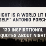 130 Inspirational Quotes About Night (Better Nighttime Life)