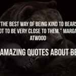130 Inspirational Quotes About Bears (Funny, Famous, Power)