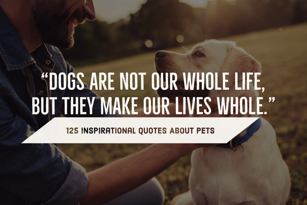 125 Inspirational Quotes About Pets (Animal Love & Loss)