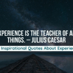 125 Inspirational Quotes About Experience In Life (Learning)